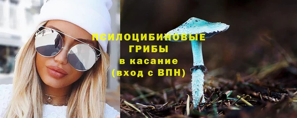 ПСИЛОЦИБИНОВЫЕ ГРИБЫ Аркадак