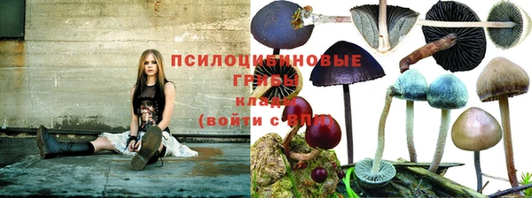 ПСИЛОЦИБИНОВЫЕ ГРИБЫ Аркадак